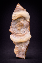 Load image into Gallery viewer, “Goblin Chalcedony” Pink and Red Druzy Botryoidal Stalactites — Tichka Massif, High Atlas, Morocco
