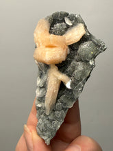 Load image into Gallery viewer, Pink Stilbite Druzy on Botryoidal Black Chalcedony | India | High-Grade Mineral Collector Specimen
