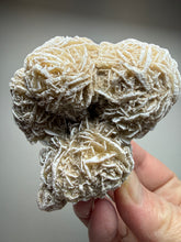 Load image into Gallery viewer, Desert Rose Selenite (Gypsum) — Mineral Display Specimen | Mexico
