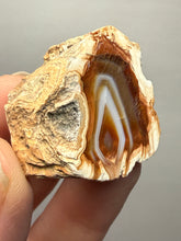 Load image into Gallery viewer, Premium Sumatra Agate (Banded Chalcedony) Display Specimen | Indonesia
