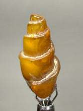 Load image into Gallery viewer, Agatized Gastropod Fossil Specimen | Morocco
