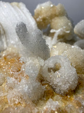 Load image into Gallery viewer, Moroccan Ram’s Horn Selenite (Gypsum) Crystal Display Specimen
