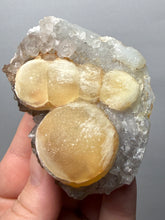 Load image into Gallery viewer, Rare Botryoidal Yellow Fluorite on Quartz Matrix  Collector Mineral Specimen – Maharashtra, India
