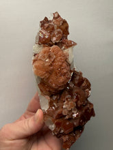 Load image into Gallery viewer, Rare Red Apophyllite + Druzy Red Stilbite Flowers — Deccan Traps, India
