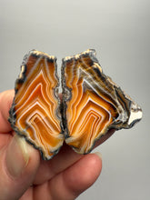 Load image into Gallery viewer, High-Grade Indonesian Sumatra Agate Pair – Vibrant Banded Chalcedony with Rich Color Zoning | Ethical Lapidary &amp; Collector Display Specimens
