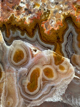 Load image into Gallery viewer, Mystical Turkish Agate with Intriguing Inclusions – Great Banding and Eyes
