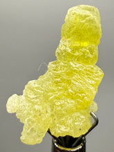 Load image into Gallery viewer, Vibrant Yellow Brucite Thumbnail Mineral Specimen | Collector Crystal from Killa Saifullah District in Balochistan Province, Pakistan
