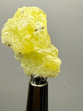 Load image into Gallery viewer, Vibrant Yellow Brucite Thumbnail Mineral Specimen | Collector Crystal from Killa Saifullah District in Balochistan Province, Pakistan
