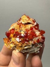 Load image into Gallery viewer, Natural Vanadinite on Matrix | Collector Mineral Specimen | Morocco
