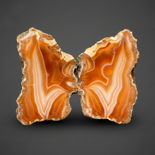 Load image into Gallery viewer, High-Grade Indonesian Sumatra Agate Pair – Vibrant Banded Chalcedony with Rich Color Zoning | Ethical Lapidary &amp; Collector Display Specimens
