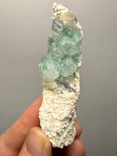 Load image into Gallery viewer, High-Grade Gemmy Green Apophyllite on White Stilbite  | Deccan Traps, Maharashtra, India
