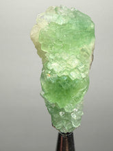 Load image into Gallery viewer, Green Radial “Disco Ball” Apophyllite | Maharashtra, India
