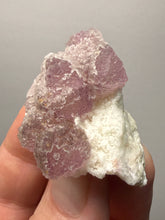 Load image into Gallery viewer, Botryoidal Lavender Fluorite on Quartz Matrix | Hunan, China | Collector Mineral Display Specimen
