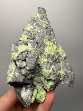 Load image into Gallery viewer, High-Grade Green Wavellite Collectors Specimen - Radiating Botryoidal Crystal Formation - Arkansas, USA
