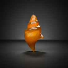 Load image into Gallery viewer, Agatized Gastropod Fossil Specimen | Morocco

