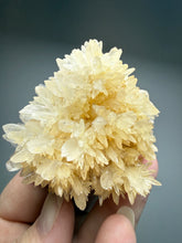 Load image into Gallery viewer, High-Grade Flower Coral Aragonite Crystal Specimen – Wenshan Mine, Yunnan, China
