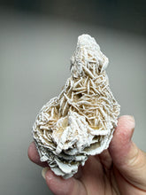 Load image into Gallery viewer, Desert Rose Selenite (Gypsum) — Mineral Display Specimen | Mexico
