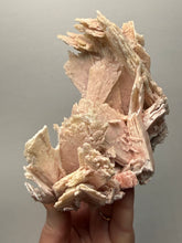Load image into Gallery viewer, Rare Natural Pink Anhydrite Collector Mineral | Brazil
