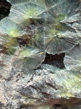 Load image into Gallery viewer, High-Grade Green Wavellite Collectors Specimen - Radiating Botryoidal Crystal Formation - Arkansas, USA
