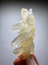 Load image into Gallery viewer, High Grade Golden Iron-Stained Himalayan Quartz Cluster | Rare Pakistan Mineral Specimen | Collector Display Crystal
