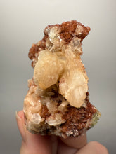 Load image into Gallery viewer, Shiny Peach Stilbite on Druzy Red Heulandite – High-Grade Collector Mineral Specimen from India
