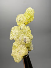 Load image into Gallery viewer, Vibrant Yellow Brucite Thumbnail Mineral Specimen | Collector Crystal from Killa Saifullah District in Balochistan Province, Pakistan
