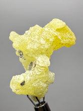 Load image into Gallery viewer, Vibrant Yellow Brucite Thumbnail Mineral Specimen | Collector Crystal from Killa Saifullah District in Balochistan Province, Pakistan
