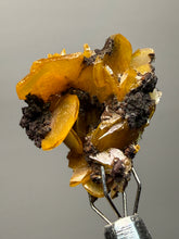 Load image into Gallery viewer, High-Grade Orange Wulfenite Collector Display Specimen | La Morita Mine, Chihuahua, Mexico
