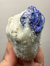 Load image into Gallery viewer, Afghanite &amp; Lazurite on Matrix Collector Display Specimen | Badakhshan Region, Afghanistan
