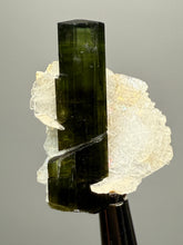Load image into Gallery viewer, Dark Green Cap Stak Nala Tourmaline with Cleavelandite Flower – Haramosh Mountains, Pakistan | Thumbnail Specimen
