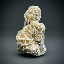 Load image into Gallery viewer, Desert Rose Selenite (Gypsum) — Mineral Display Specimen | Mexico
