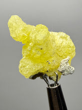 Load image into Gallery viewer, Vibrant Yellow Brucite Thumbnail Mineral Specimen | Collector Crystal from Killa Saifullah District in Balochistan Province, Pakistan
