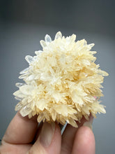 Load image into Gallery viewer, High-Grade Flower Coral Aragonite Crystal Specimen – Wenshan Mine, Yunnan, China
