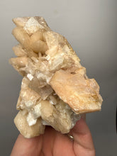 Load image into Gallery viewer, High-Grade Apophyllite on Pink Stilbite Zeolite | Indian Collector Mineral Specimen

