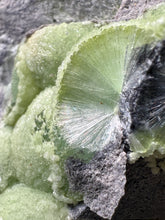 Load image into Gallery viewer, High-Grade Green Wavellite Collectors Specimen - Radiating Botryoidal Crystal Formation - Arkansas, USA
