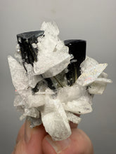 Load image into Gallery viewer, Blue Cap on Dark Green Stak Nala Tourmaline on Cleavelandite on Matrix – Haramosh Mountains, Pakistan
