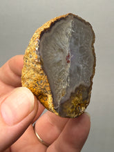 Load image into Gallery viewer, Natural Laguna Agate Collector Mineral Specimen | Chihuahua, Mexico
