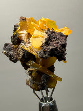 Load image into Gallery viewer, High-Grade Orange Wulfenite Collector Display Specimen | La Morita Mine, Chihuahua, Mexico
