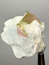 Load image into Gallery viewer, Watermelon Tourmaline on Matrix – Collector Mineral Specimen from Pakistan
