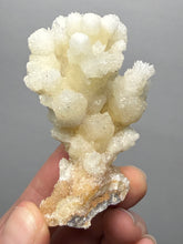 Load image into Gallery viewer, 2.8” High-Grade Flower Calcite Specimen | Wenshan Mine, Yunnan, China | Collector Mineral Display
