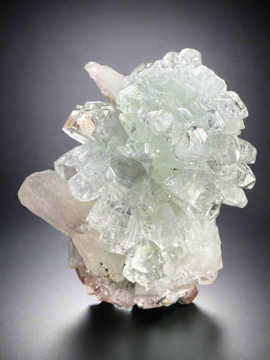 Light Mint Green Radial (Disco Ball) Apophyllite + Pink Stilbite • Maharashtra, India
