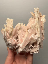 Load image into Gallery viewer, Rare Natural Pink Anhydrite Collector Mineral | Brazil
