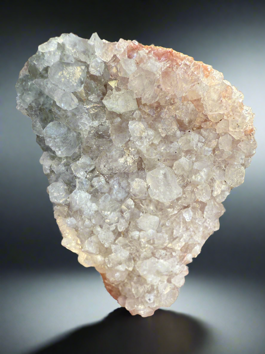 Light Pink Apophyllite • Maharashtra, India