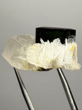 Load image into Gallery viewer, Blue Cap Dark Green Stak Nala Tourmaline and Cleavelandite – Haramosh Mountains, Pakistan | Thumbnail Specimen

