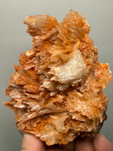 Load image into Gallery viewer, Chalcedony Quartz Rose Agate Collector Mineral Specimen – Morocco
