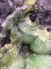 Load image into Gallery viewer, High-Grade Green Wavellite Collectors Specimen - Radiating Botryoidal Crystal Formation - Arkansas, USA
