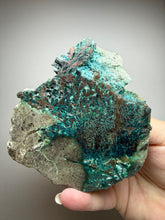Load image into Gallery viewer, 4” Polished Native Copper in Chrysocolla — Display Specimen (Indonesia)
