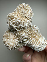 Load image into Gallery viewer, Desert Rose Selenite (Gypsum) — Mineral Display Specimen | Mexico
