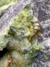 Load image into Gallery viewer, High-Grade Green Wavellite Collectors Specimen - Radiating Botryoidal Crystal Formation - Arkansas, USA
