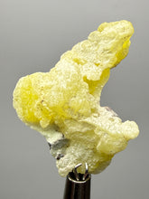Load image into Gallery viewer, Vibrant Yellow Brucite Thumbnail Mineral Specimen | Collector Crystal from Killa Saifullah District in Balochistan Province, Pakistan
